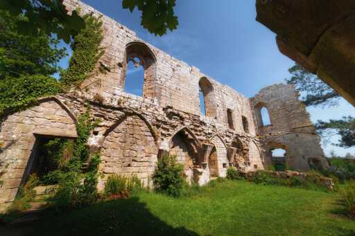 A bright, sunlit section of the ruins at Jervaulx Abbey, highlighting a tall, crumbling stone wall with large, arched window openings that once held stained glass. Ivy climbs parts of the weathered masonry, adding vibrant green contrast to the warm beige stone. The lower part of the wall features a series of smaller, pointed arches, some partially collapsed or filled in with rubble and plants. The foreground is a lush green lawn dotted with small white flowers, and the scene is framed by leafy tree branches overhead, casting some shadow. The vivid blue sky above emphasises the historic grandeur and peacefulness of this open-air architectural relic.