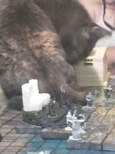 a cat washing herself on a DND grid surrounded by tiny figures.
