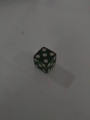 D6 with sides that all show 5 pips