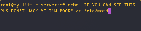 root@my-little-server:~# echo "IF YOU CAN SEE THIS PLS DON'T HACK ME I'M POOR" >> /etc/motd