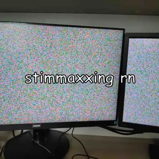 two monitors displaying pure noise with the caption "stimmaxxing rn"