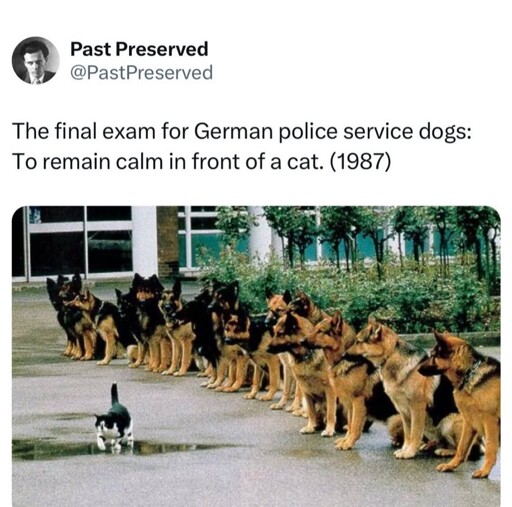 God I hope this is true