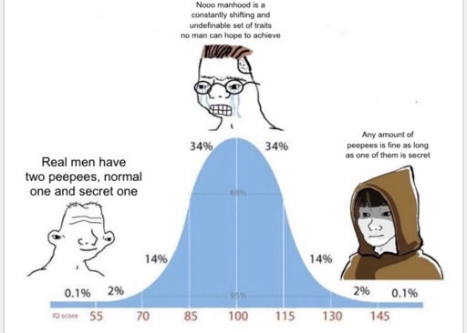 Bell curve IQ meme. The dumb person says “Real men have two peepees, one normal and one secret.” The middle-IQ person says “Nooo manhood is a constantly shifting and undefinable set of traits no man can hope to achieve.” The Jedi says “Any amount of peepees is fine as long as one of them is secret.”