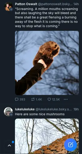 A post with the dramatic caption “Screaming. A million mouths screaming but also laughing the sky will bleed and there shall be a great flensing a burning away of the flesh it is coming there is no way to stop what is coming.” and the image of a groundhog(?) being held up, above a post of some guy just enjoying mushrooms growing on a log in a forest.